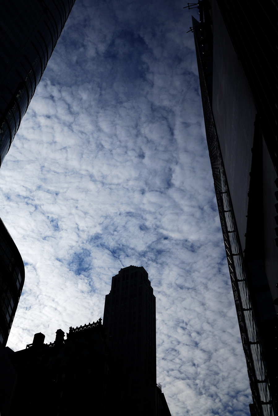 Skies - TS